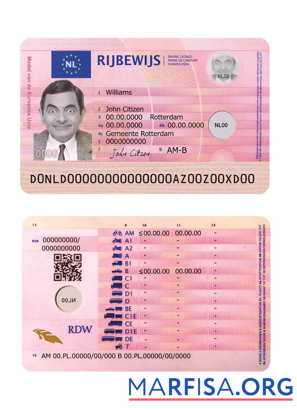 Realistic Netherlands driving license 2014 present sample